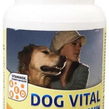 DOG VITAL Multivitamin tabletta 120 db kép