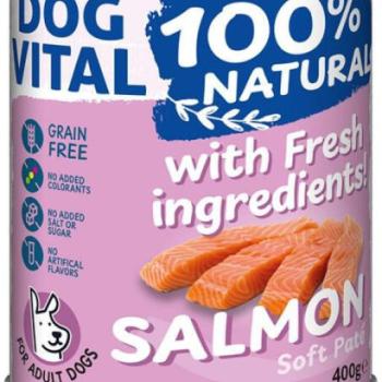 DOG VITAL Salmon paté 400 g kép