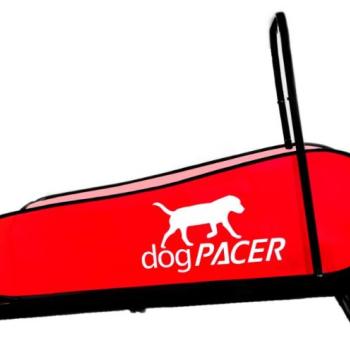 dogPACER futópad 80 kg-os testsúlyig kép