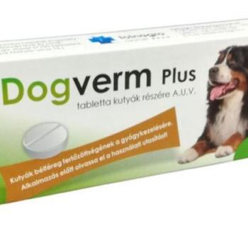 Dogverm Plus tabletta 10 db kép