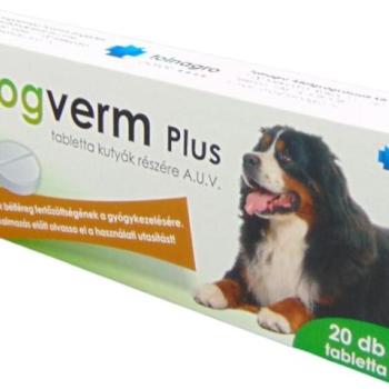 Dogverm Plus tabletta 20 db kép