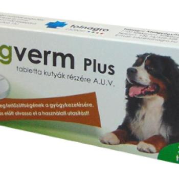 Dogverm Plus tabletta kutyák részére A.U.V. 10 db kép