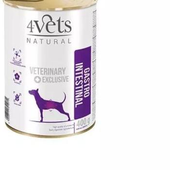 Dolina Noteci 4Vets Gastro Intestinal 400 g kép