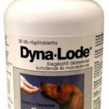 Dyna-Lode Dyna-Lode tabletta 50 db kép