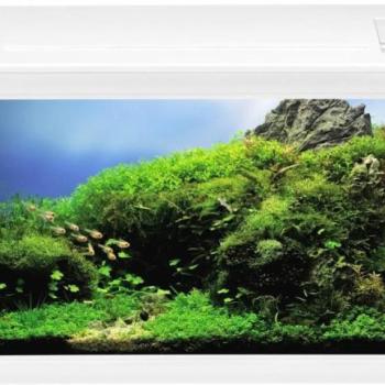EHEIM aquaclass 66 kép