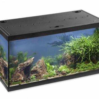 EHEIM AquaStar 60 LED 54 l kép