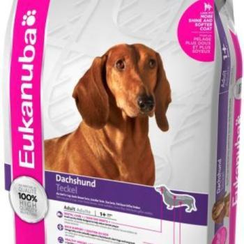 EUKANUBA Adult Dachshund 2,5 kg kép