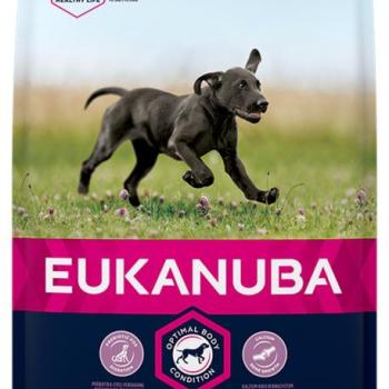 Eukanuba Growing Puppy Large Breed - chicken 3 kg kép