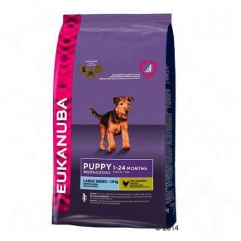 EUKANUBA Puppy & Junior Large Breed 3 kg kép