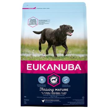 Eukanuba Thriving Mature Large Breed 15 kg kép