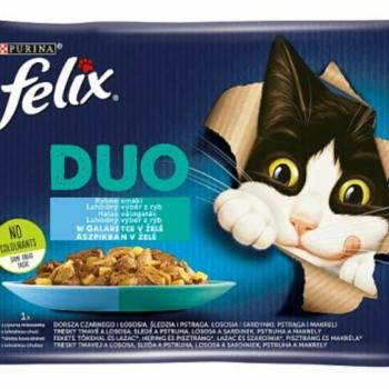 FELIX Duo fish Selection in aspic 4x85 g kép