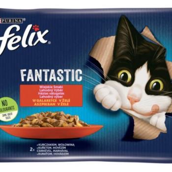 FELIX Fantastic beef & chicken in aspic 4x85 g kép