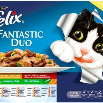 FELIX Fantastic Duo Homemade Selection with vegetables 12x85 g kép