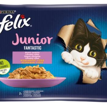 FELIX Fantastic Junior chicken & salmon 4x85 g kép