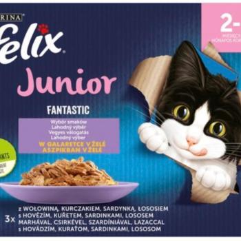 FELIX Fantastic Junior Mixed Selection in aspic 12x85 g kép