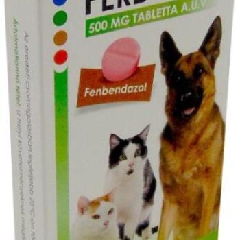 Ferdocat Féreghajtó tabletta 500 mg 20 db kép