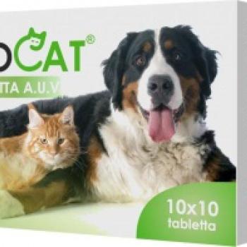 Ferdocat tabletta A.U.V. 100 tabletta kép