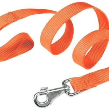 Ferplast Club G 10/120 narancssárga (77178939) kép