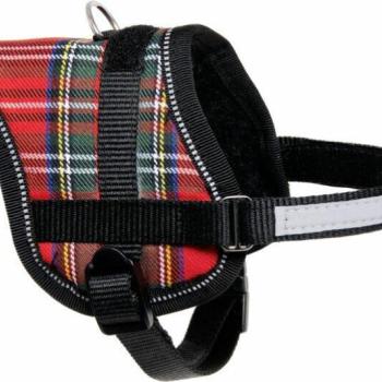 Flamingo Eeny Meeny M 36-46 cm kockás kép