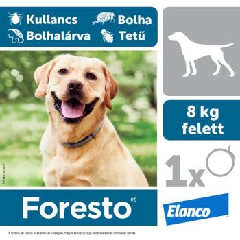 Foresto repellens kullancs- és bolhanyakörv 70 cm kép