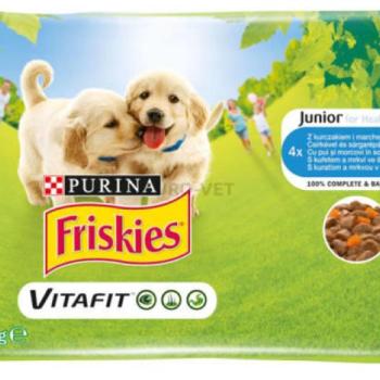 Friskies Junior Chicken & Carrot 4x100 g kép