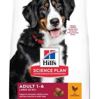 Hill's Science Plan Adult Large Breed száraz kutyatáp, csirke 14 kg kép