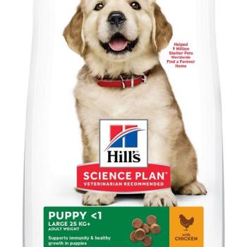 Hill's Science Plan Puppy Large Breed száraz kutyatáp 14,5 kg kép