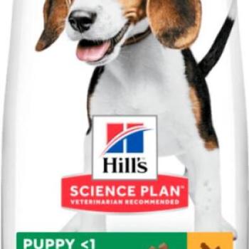 Hill's Science Plan Puppy Medium Chicken 2,5 kg kép