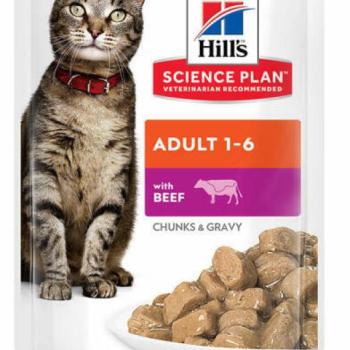 Hill's SP Feline Adult beef 12x85 g kép