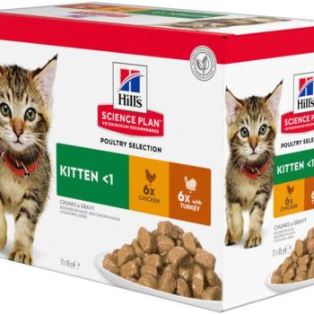 Hill's SP Kitten poultry Selection 12x85 g kép