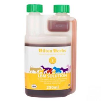 Hilton Herbs LBM Solution húgyhólyag támogató oldat 250 ml kép