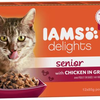 Iams Delights Senior chicken in gravy 12x85 g kép