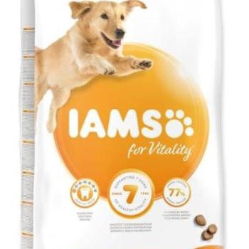 Iams Dog Adult Large Chicken 12 kg kép