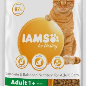 Iams for Vitality Adult lamb 800 g kép