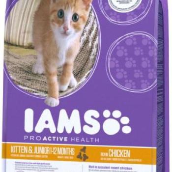 Iams Kitten & Junior 10 kg kép