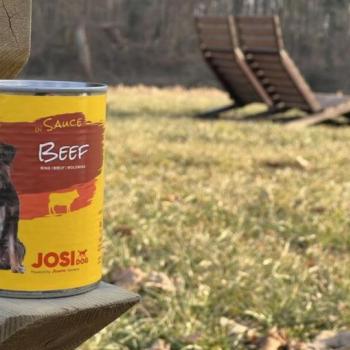 Josera JosiDog Beef in Sauce 415 g kép