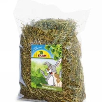 JR Farm Széna Borsmentával 500 g kép