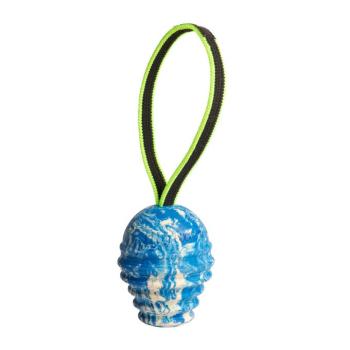 JULIUS-K9 Duoplay antibakteriális labda Ø85x11.5cm kutyáknak kép