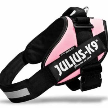Julius-K9 IDC Powerhám 0 pink kép