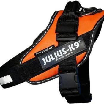 Julius-K9 IDC Powerhám 0 UV narancssárga kép