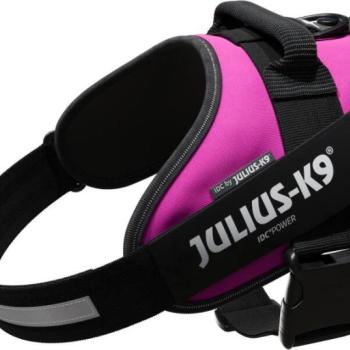 Julius-K9 IDC Powerhám 1 23-30 kg 63-85 cm sötét pink kép