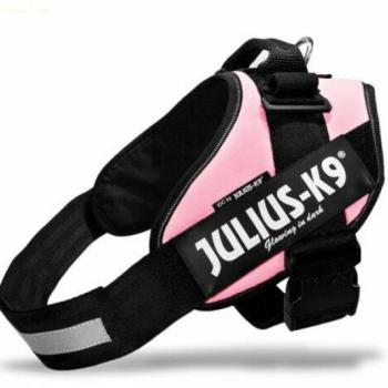 Julius-K9 IDC Powerhám 2 pink kép