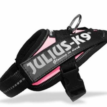 Julius-K9 IDC Powerhám Baby 1 pink kép