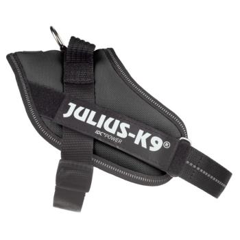 JULIUS-K9 IDC®-powerhám fekete színben Mini méret: mellkörfogat 49 - 67 cm kép