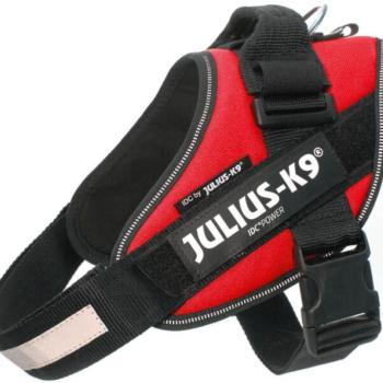 Julius-K9 IDC Powerhám M 58-76 cm/14-25kg piros kép