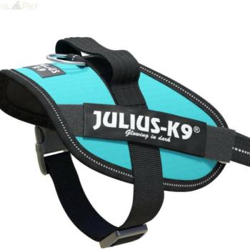 Julius-K9 IDC Powerhám Mini-mini aquamarine kép