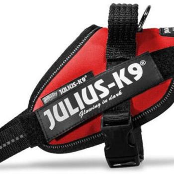 Julius-K9 IDC Powerhám Mini-Mini/S 40-53 cm/22 mm piros kép