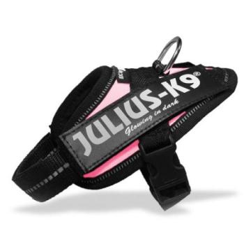 Julius-K9 IDC powerhám, pink Baby 1 (16IDC-PN-B1) kép