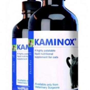 Kaminox 60 ml kép