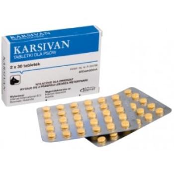 Karsivan tabletta idősödő kutyáknak 60 db (50mg) kép